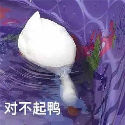 图片[3]-超赞道歉专用表情包-喜欢表情包分享—全网表情包