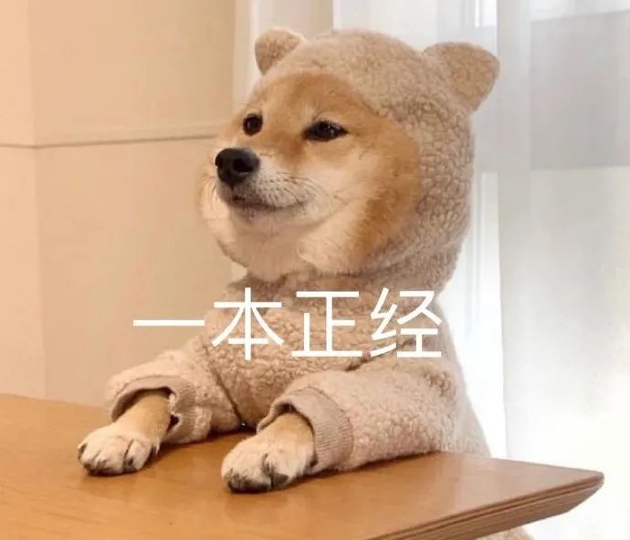 图片[11]-表情包-喜欢表情包分享—全网表情包