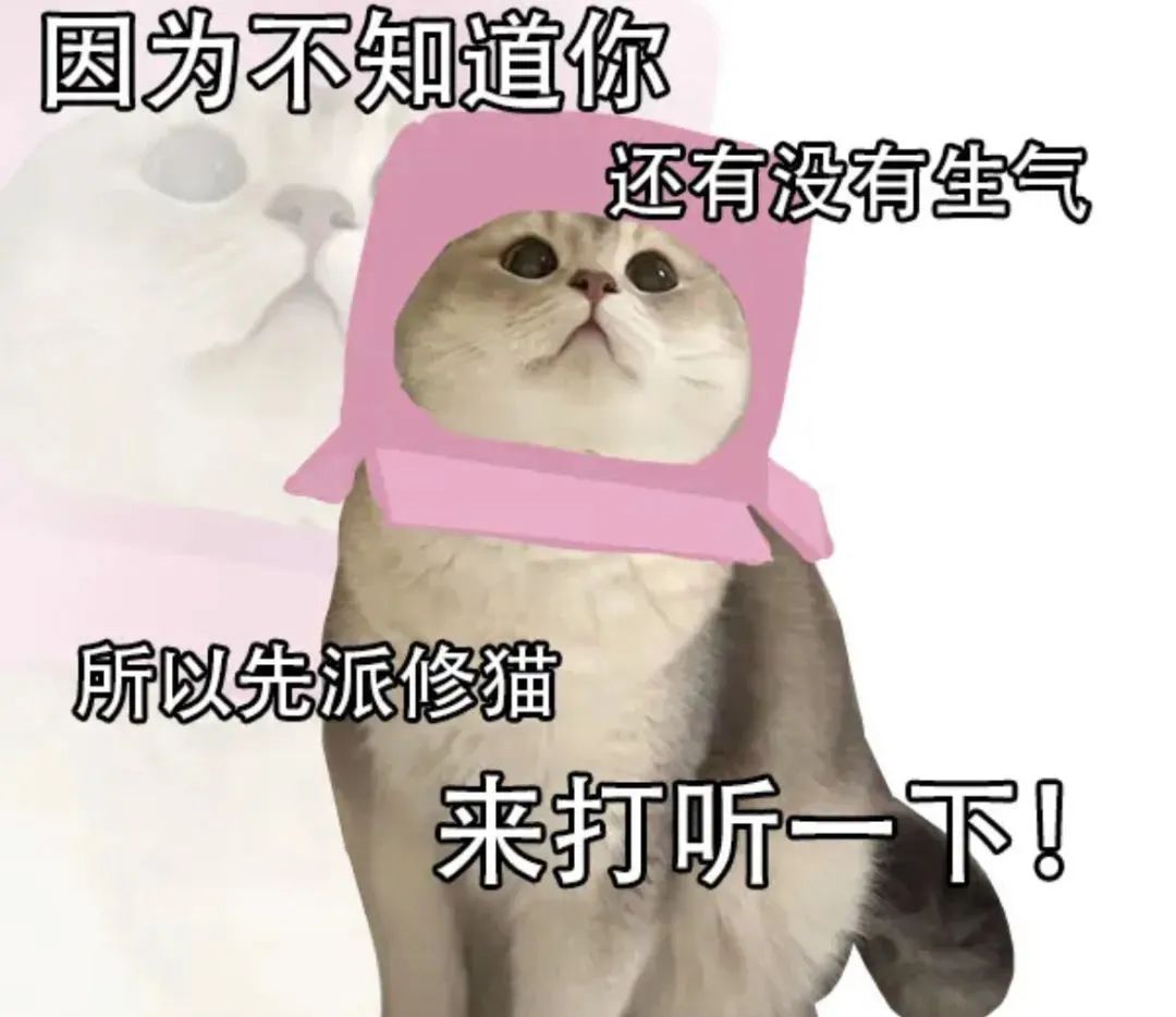 图片[13]-在忙呢 妹妹-喜欢表情包分享—全网表情包
