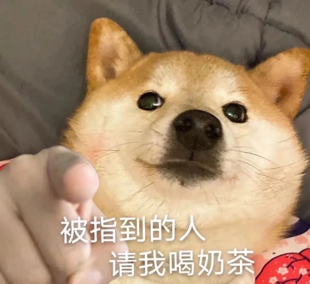 图片[4]-哦不可以色色-喜欢表情包分享—全网表情包