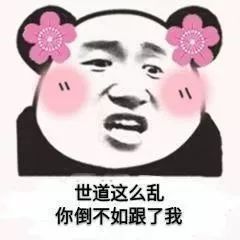 图片[14]-表情包-喜欢表情包分享—全网表情包