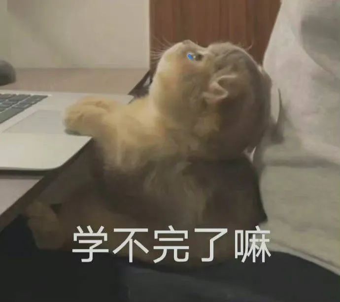 图片[11]-垮起个豹豹脸-喜欢表情包分享—全网表情包