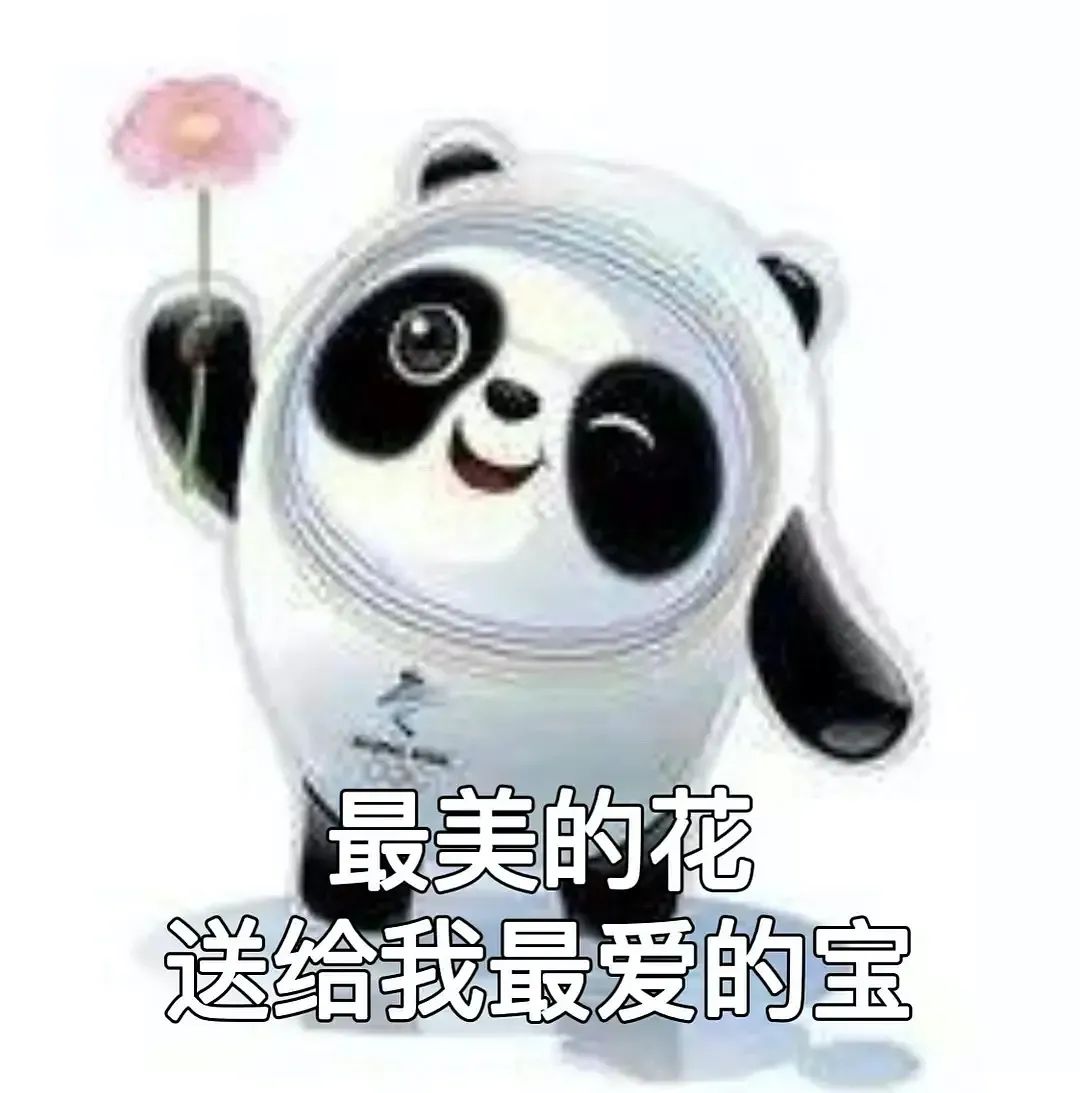 图片[13]-冰墩墩表情包 | 我是他的表弟铁憨憨-喜欢表情包分享—全网表情包