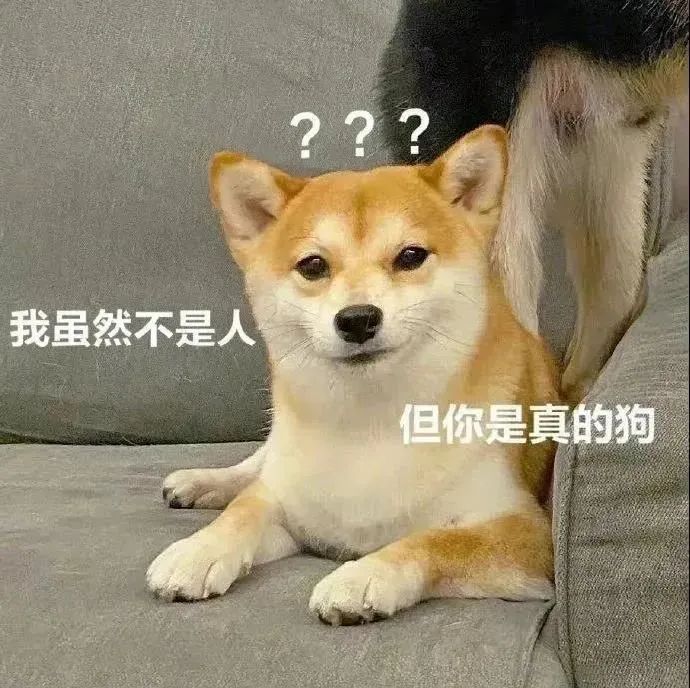 图片[13]-你在说什么屁话呢-喜欢表情包分享—全网表情包