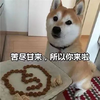 图片[8]-套路聊天表情合集-喜欢表情包分享—全网表情包
