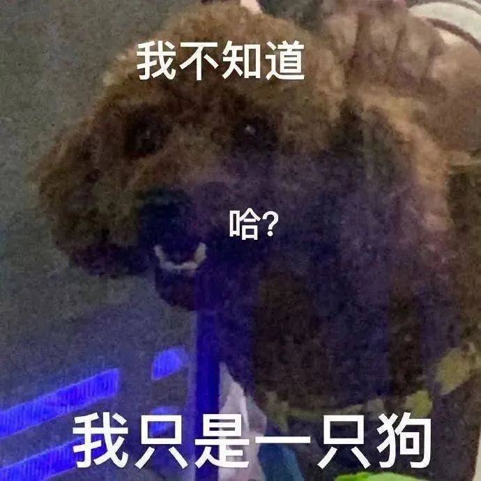 图片[16]-看到这个巴掌了吗-喜欢表情包分享—全网表情包