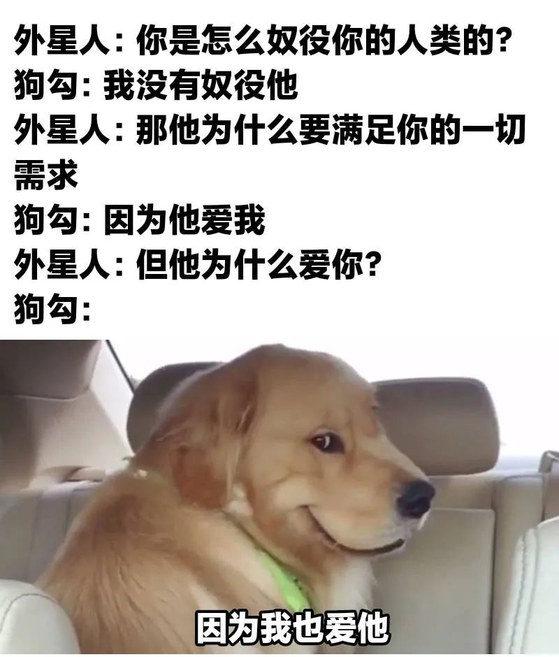 图片[10]-开摆-喜欢表情包分享—全网表情包