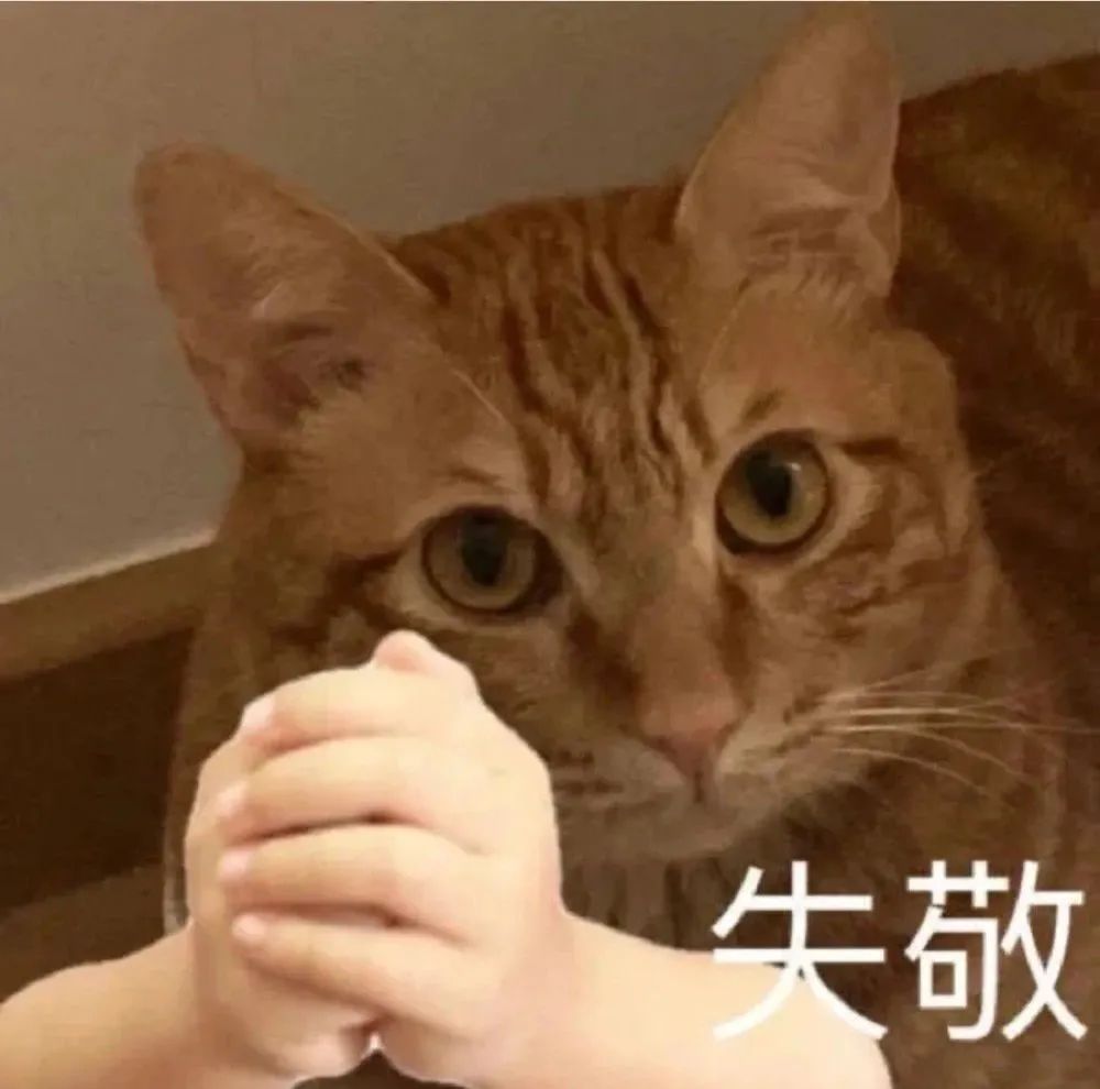 图片[10]-收图时间到~~-喜欢表情包分享—全网表情包