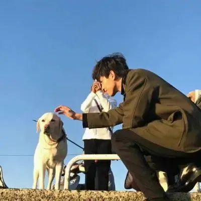 图片[27]-每日更新好看头像-喜欢表情包分享—全网表情包