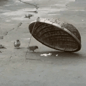 图片[1]-【GIF】这就是爱情吧！-喜欢表情包分享—全网表情包