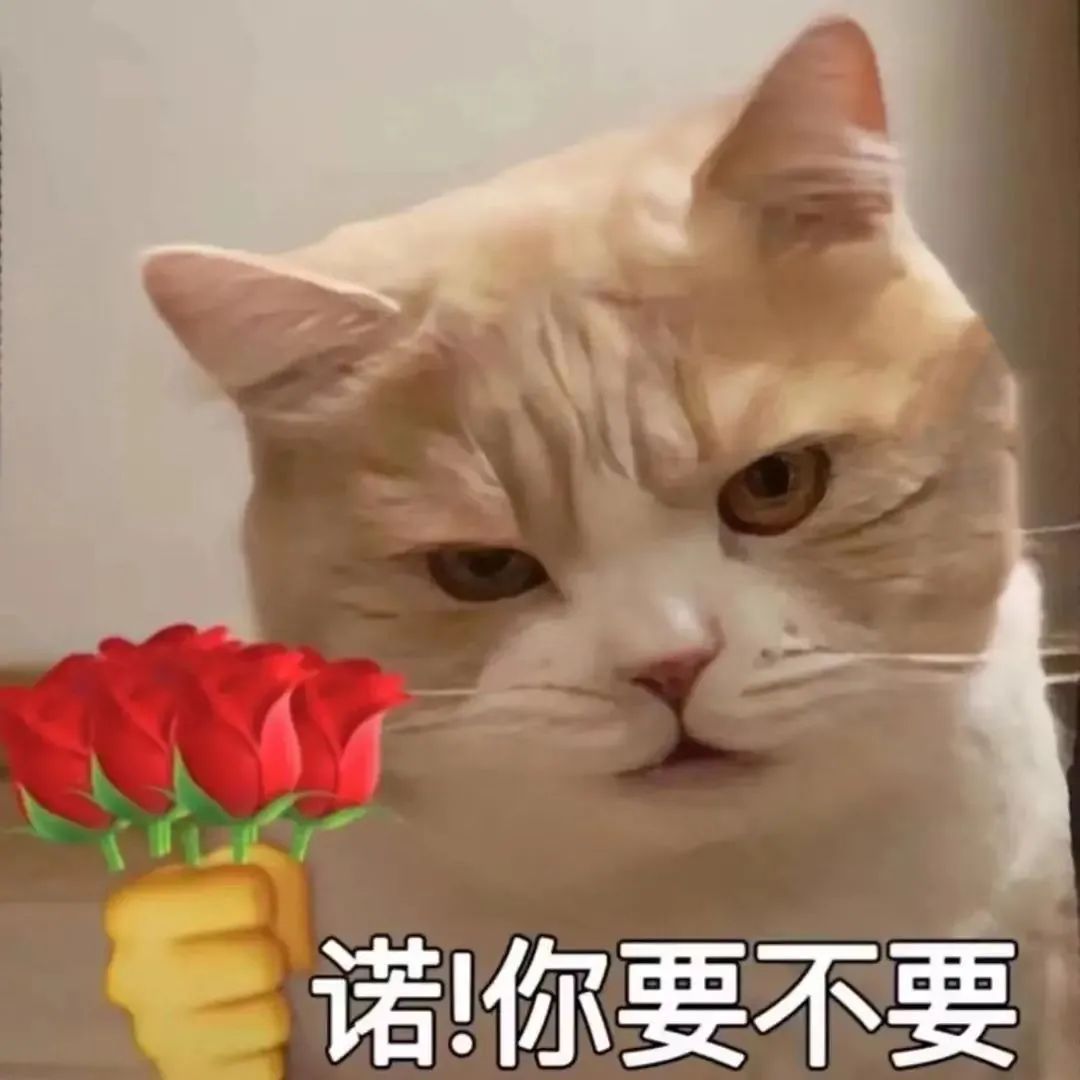 图片[5]-有亿点骚-喜欢表情包分享—全网表情包