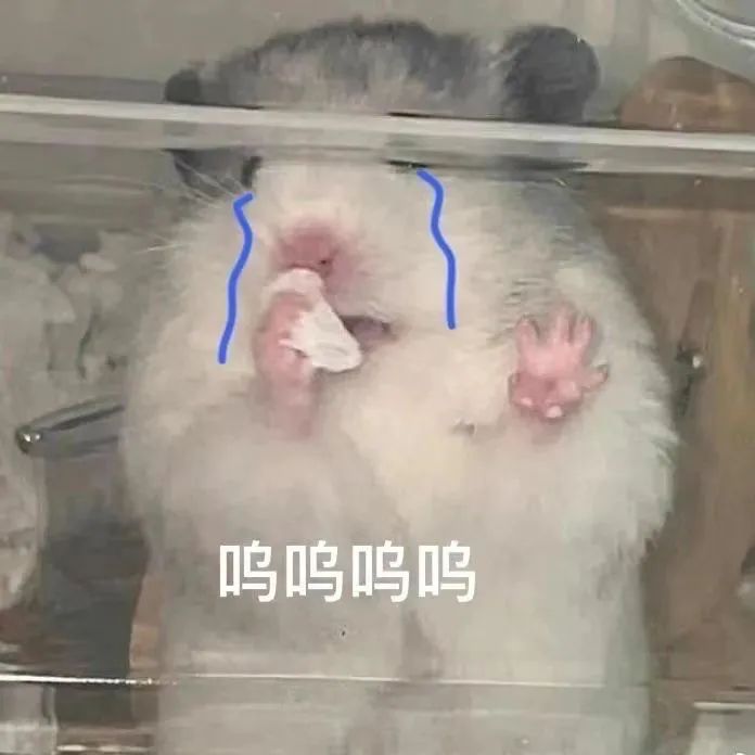 图片[5]-呜呜呜呜-喜欢表情包分享—全网表情包