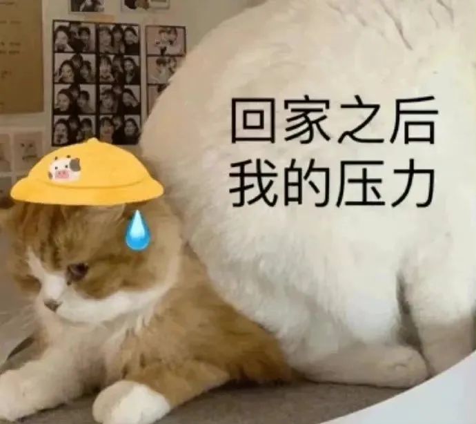 图片[27]-超级可爱的小表情包~-喜欢表情包分享—全网表情包