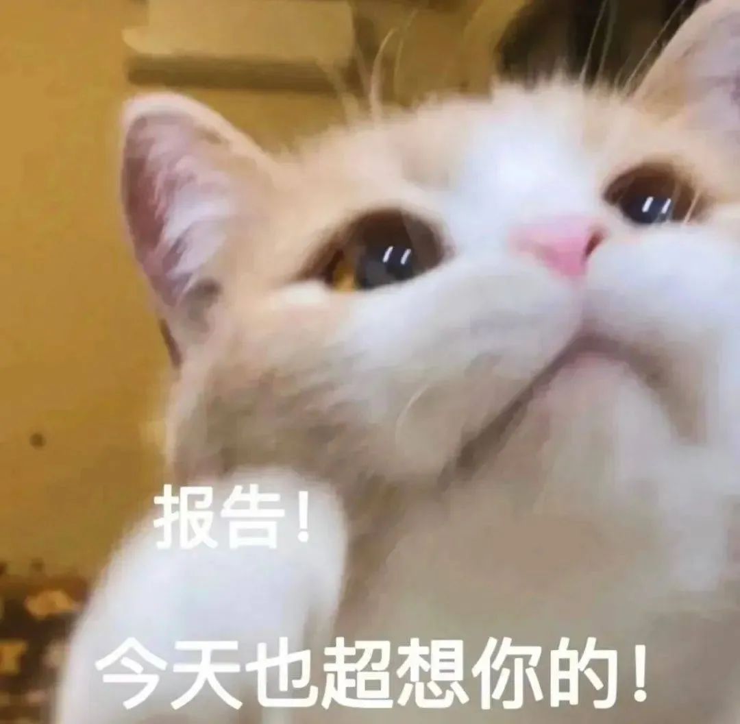 图片[23]-栓 Q 您嘞-喜欢表情包分享—全网表情包
