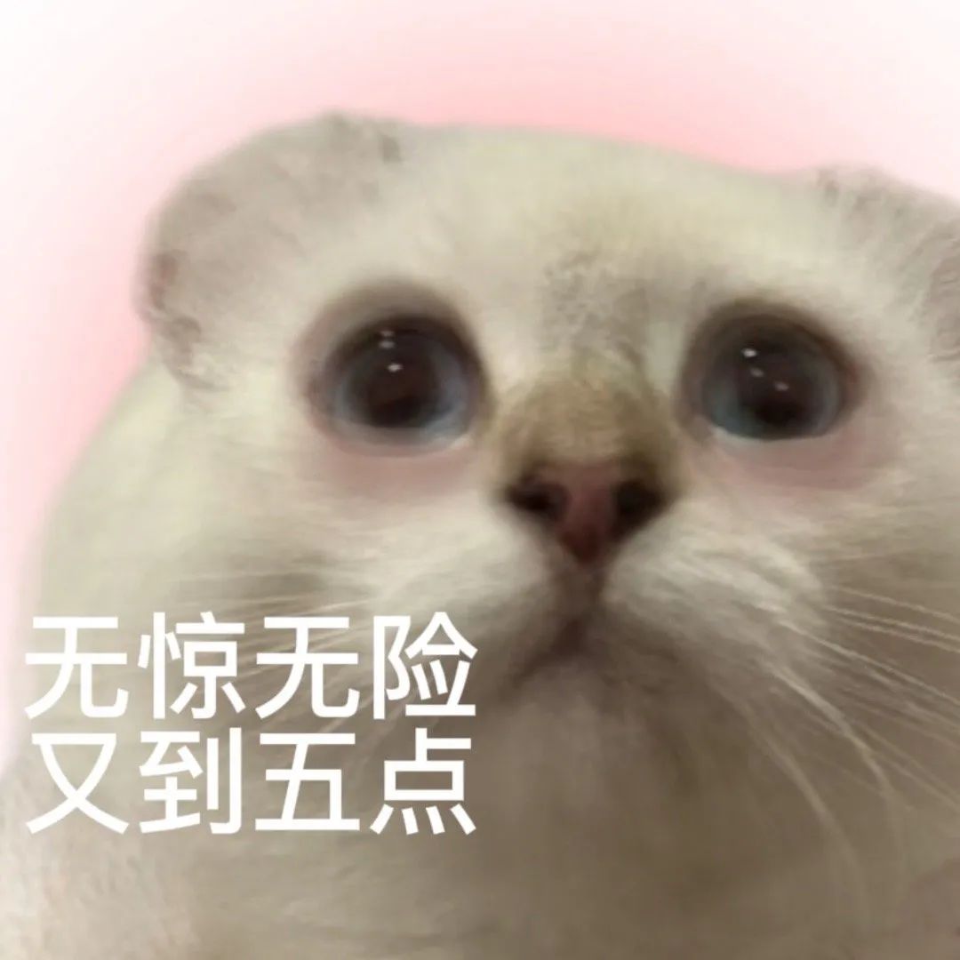 图片[8]-奇怪的表情增加了-喜欢表情包分享—全网表情包