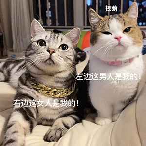 图片[7]-果然是在做羞羞的事啊-喜欢表情包分享—全网表情包