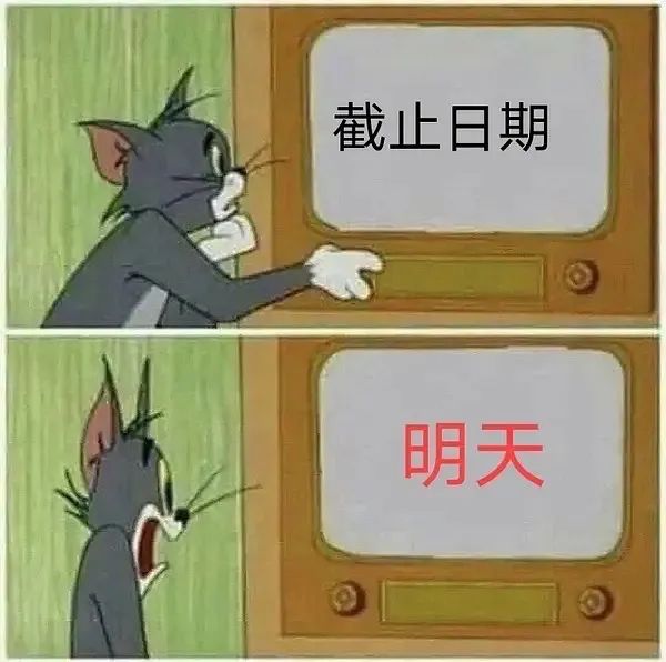 图片[8]-过于真实-喜欢表情包分享—全网表情包