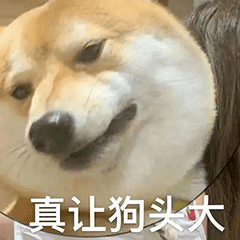 图片[32]-干什么，你不要过来!-喜欢表情包分享—全网表情包