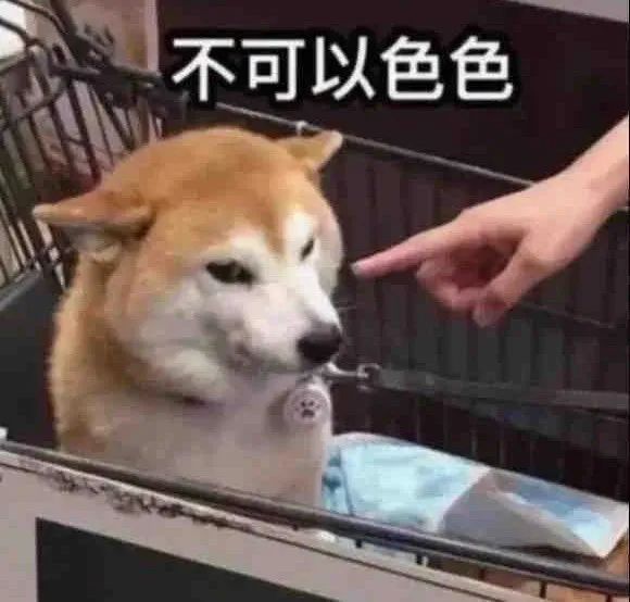 图片[19]-哦不可以色色-喜欢表情包分享—全网表情包