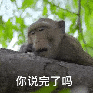 图片[1]-一整个被尬住-喜欢表情包分享—全网表情包