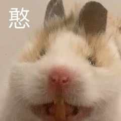 图片[1]-奇怪的表情增加了-喜欢表情包分享—全网表情包