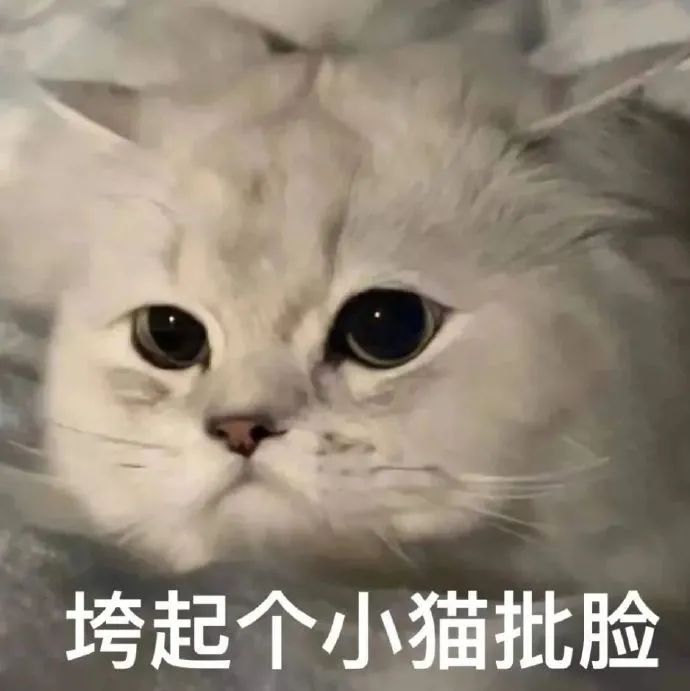 图片[19]-我就是缠你的身子-喜欢表情包分享—全网表情包