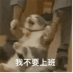 图片[9]-把心给你-喜欢表情包分享—全网表情包