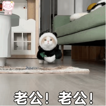 图片[4]-宝贝 我来了-喜欢表情包分享—全网表情包