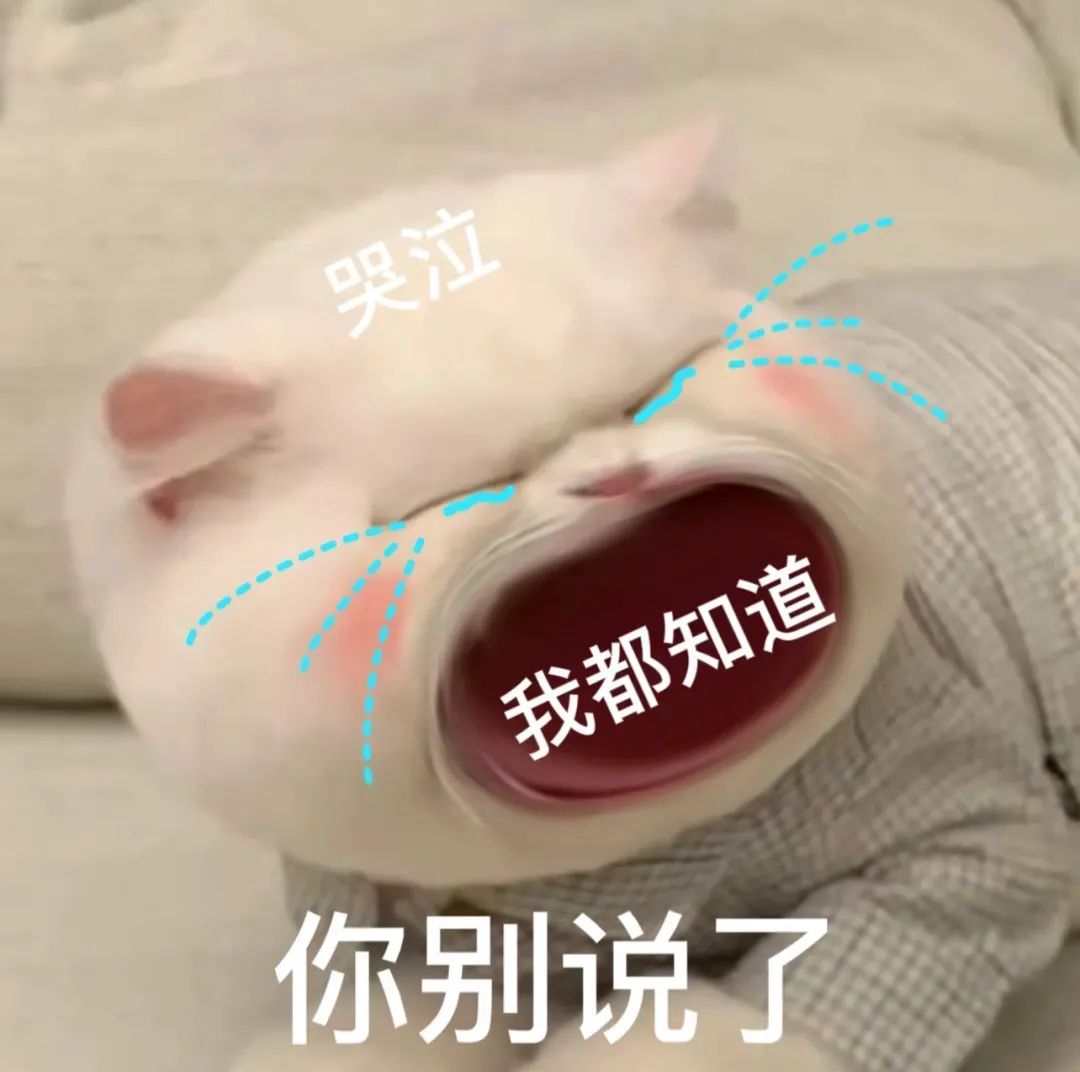 图片[19]-45个聊天撒娇必用大嘴猫表情-喜欢表情包分享—全网表情包