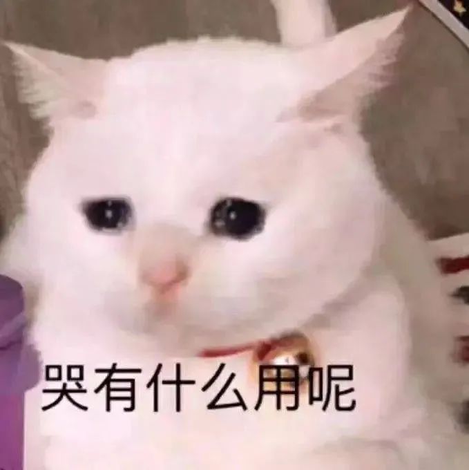图片[19]-狠狠爱住表情包-喜欢表情包分享—全网表情包
