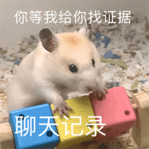 图片[28]-30个热门超火表情包-喜欢表情包分享—全网表情包
