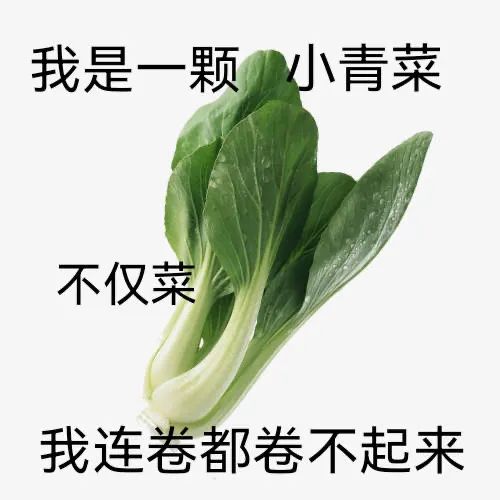 图片[12]-可以进你被窝吗？-喜欢表情包分享—全网表情包