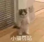 图片[11]-你的宝宝出现-喜欢表情包分享—全网表情包