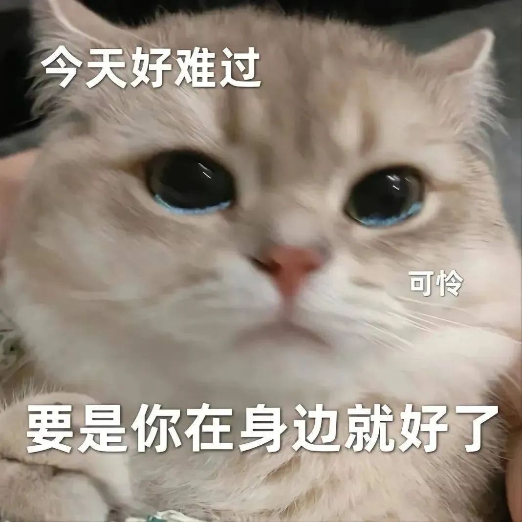 图片[16]-相当优秀-喜欢表情包分享—全网表情包