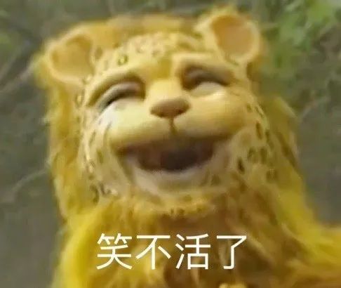 图片[14]-哈哈哈 豹笑-喜欢表情包分享—全网表情包