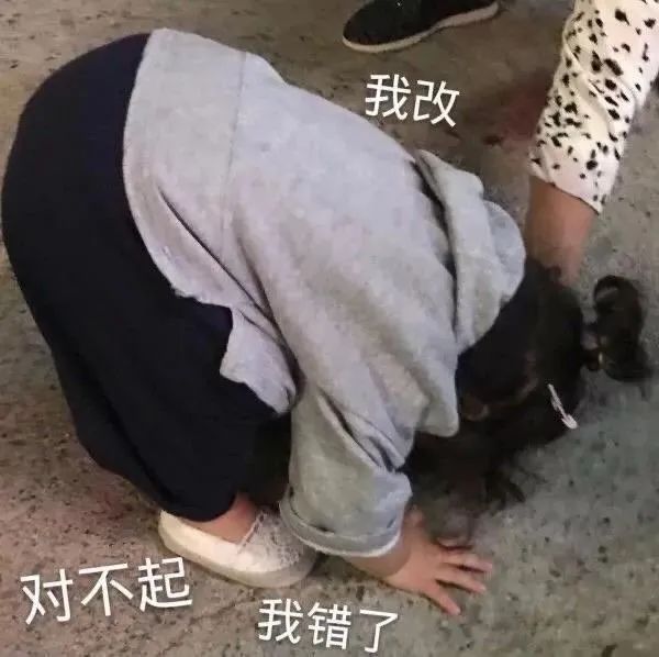 图片[38]-拿撸路多-喜欢表情包分享—全网表情包