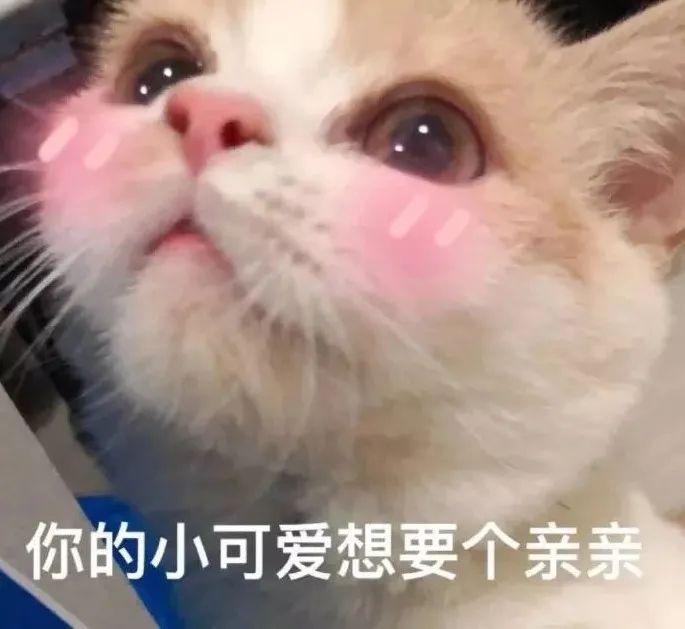图片[4]-亲亲抱抱举高高-喜欢表情包分享—全网表情包