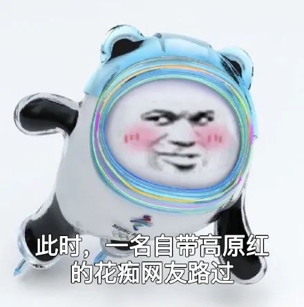 图片[29]-冰墩墩表情包 | 我是他的表弟铁憨憨-喜欢表情包分享—全网表情包
