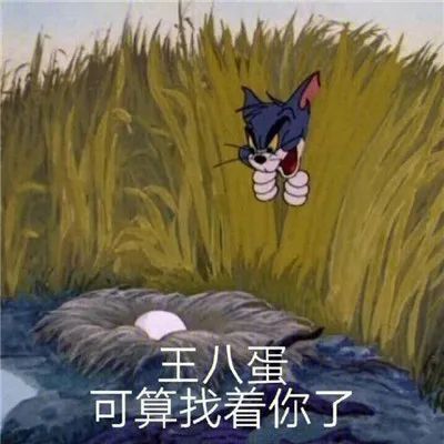 图片[7]-笑死人巨沙雕的聊天表情-喜欢表情包分享—全网表情包