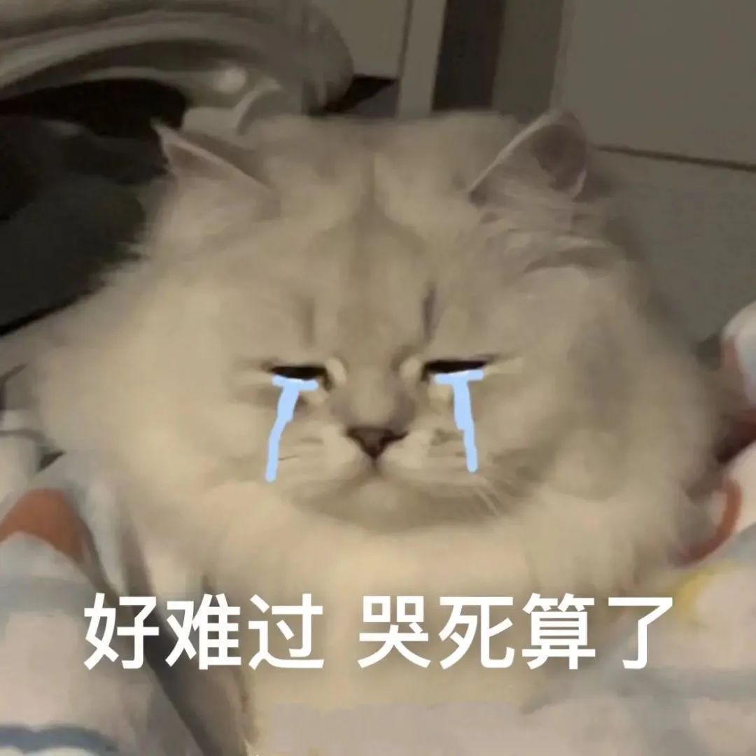 图片[9]-伤心流泪猫猫头表情包-喜欢表情包分享—全网表情包