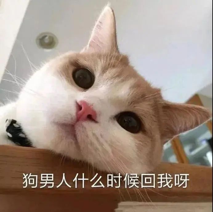 图片[4]-你别是个傻子吧-喜欢表情包分享—全网表情包