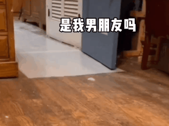 图片[54]-就你，给我看看你腹肌-喜欢表情包分享—全网表情包