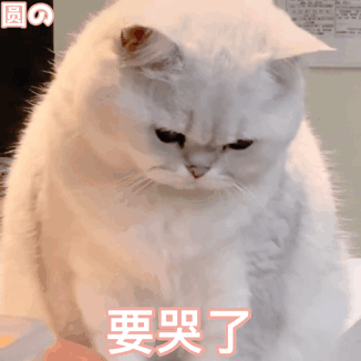 图片[29]-你们要的冰墩墩超火表情包-喜欢表情包分享—全网表情包
