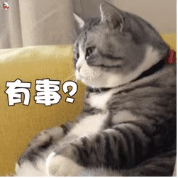 图片[14]-我可是你骚断的腿-喜欢表情包分享—全网表情包