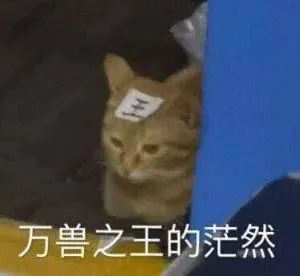 图片[14]-表情包-喜欢表情包分享—全网表情包
