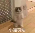 图片[2]-有点意思-喜欢表情包分享—全网表情包