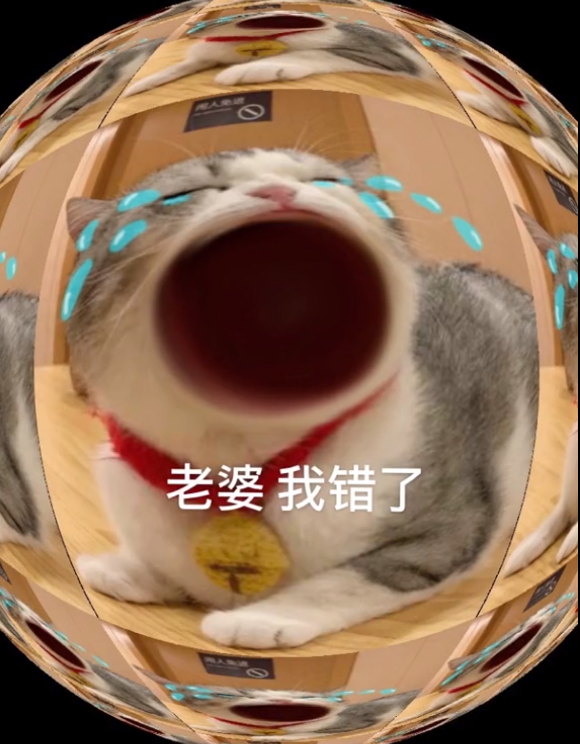图片[39]-45个聊天撒娇必用大嘴猫表情-喜欢表情包分享—全网表情包