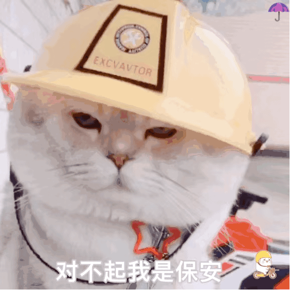 图片[19]-可爱到爆的表情包-喜欢表情包分享—全网表情包