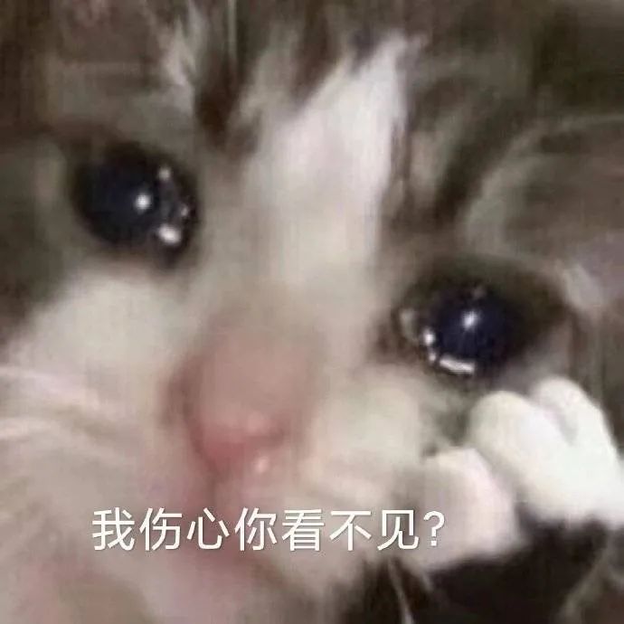 图片[14]-宝贝 我来了-喜欢表情包分享—全网表情包