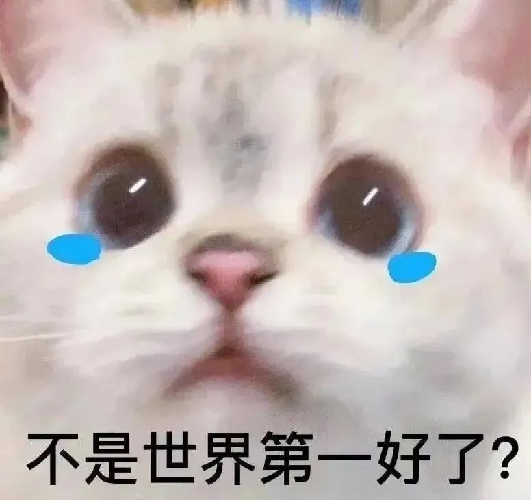 图片[11]-可爱的猫猫狗勾表情增加了-喜欢表情包分享—全网表情包